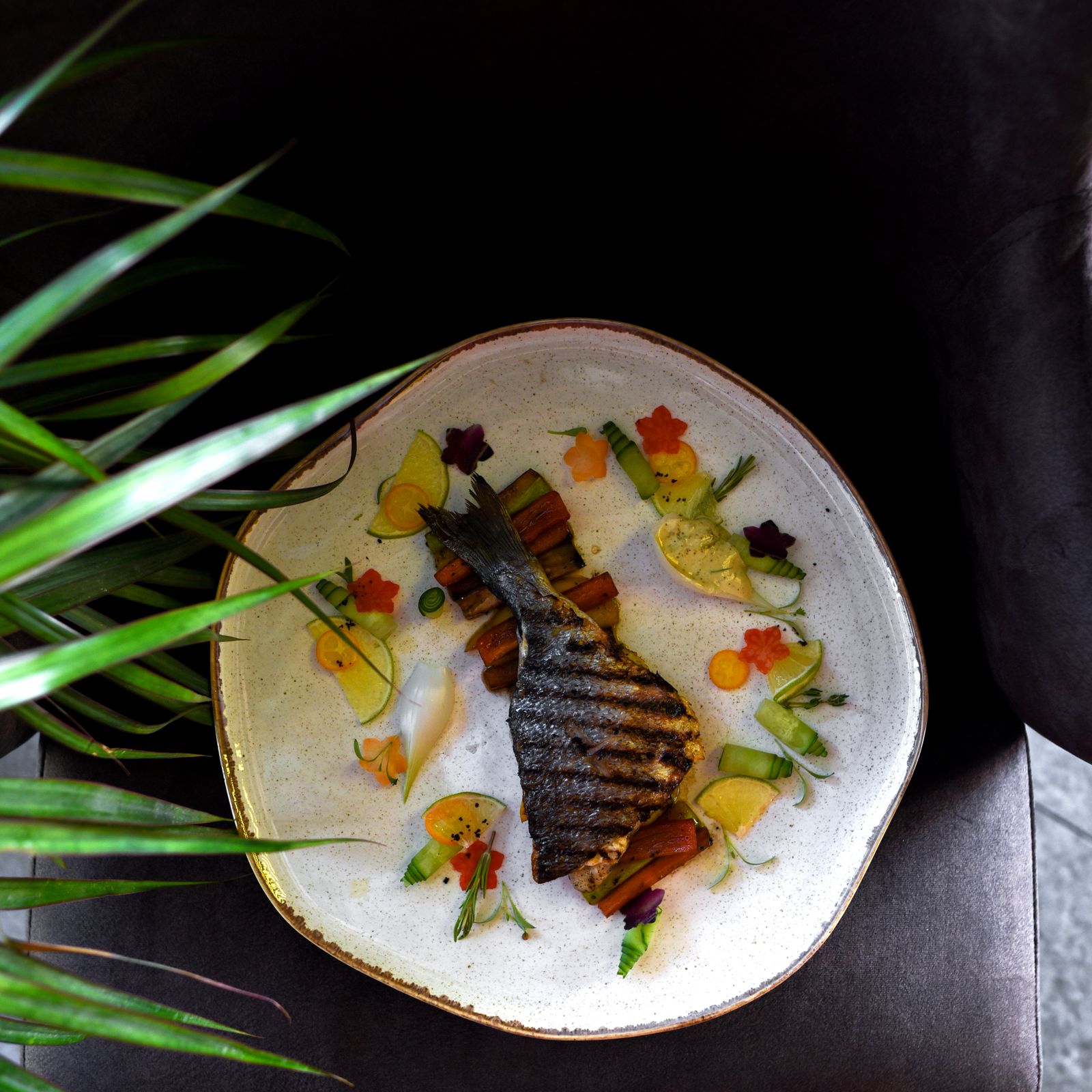 Grilled fish plated with fresh vegetables and herbs